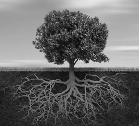 My Roots. My Strength.